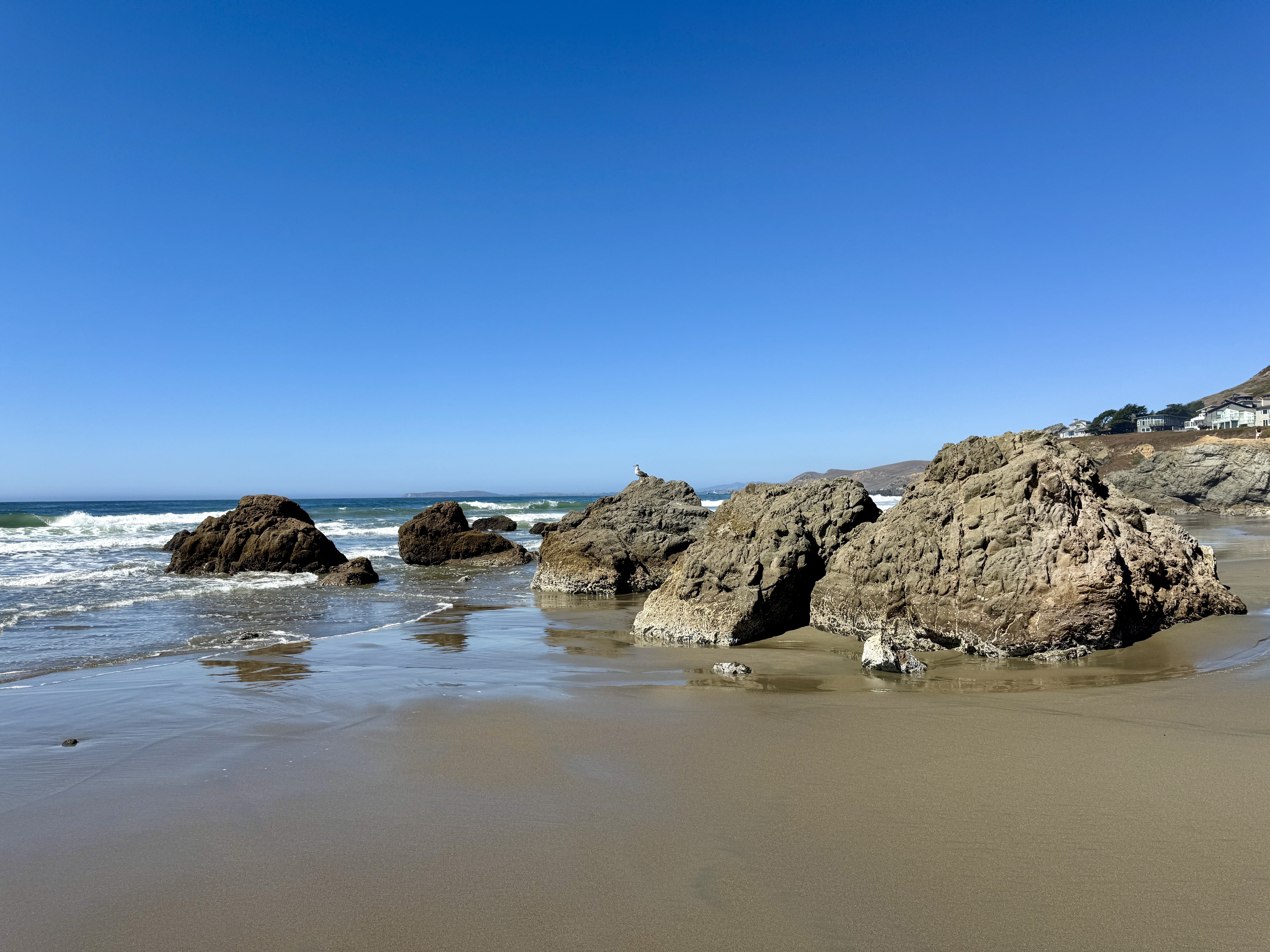 Bodega Bay coastline