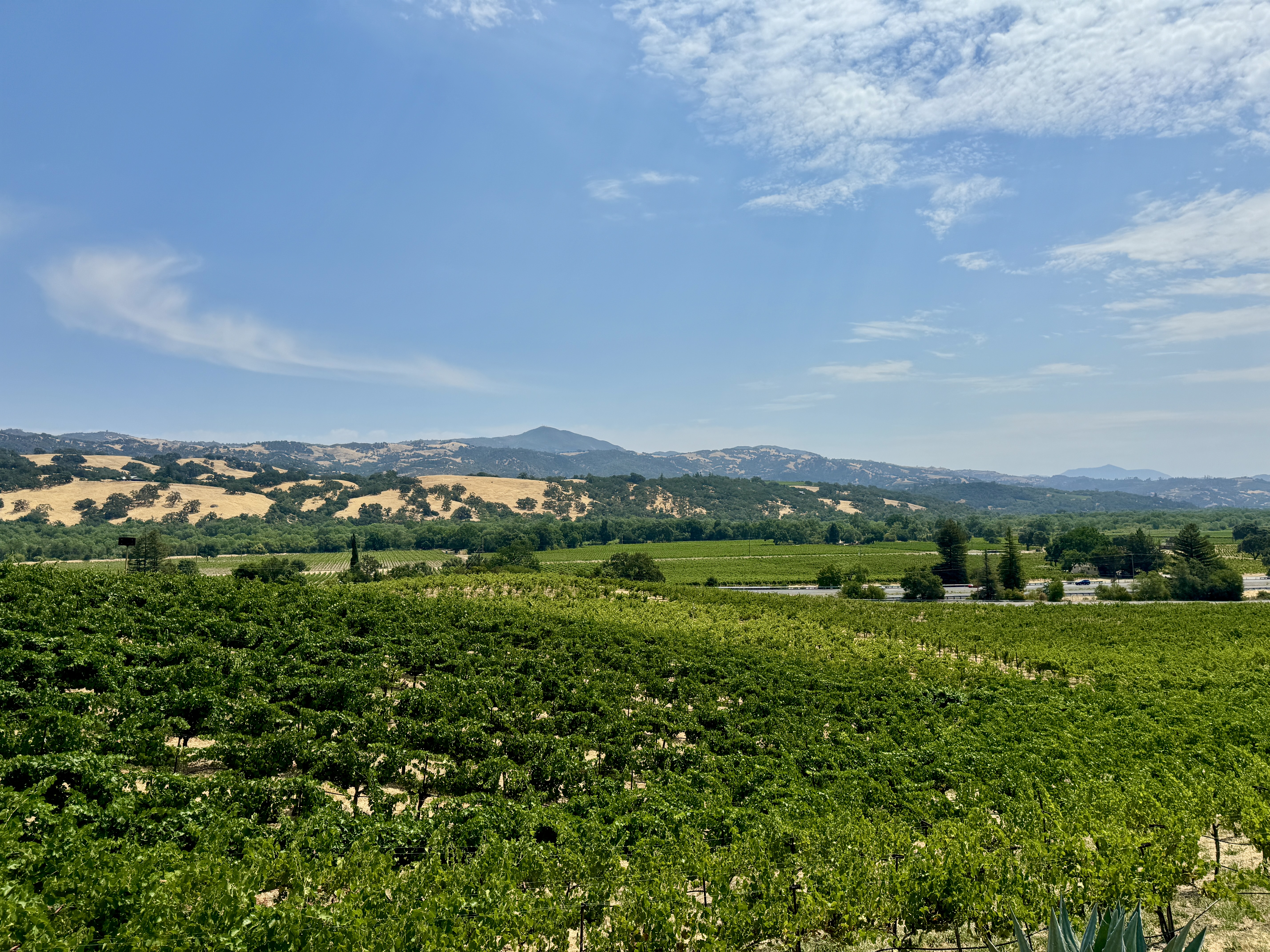 Sonoma County hills